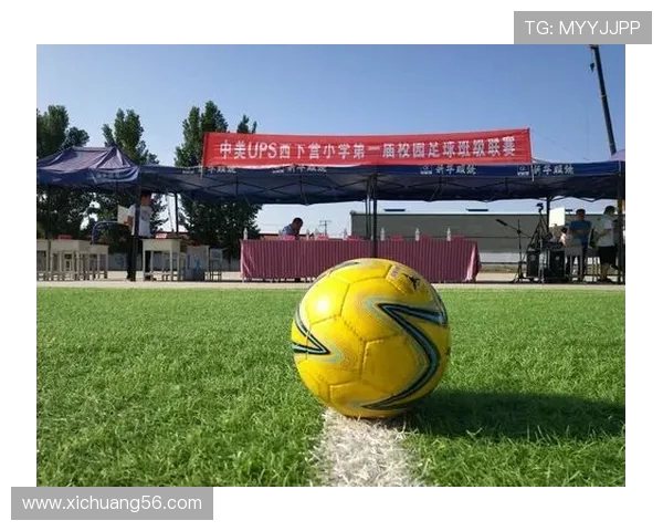 湖南工业大学校园足球发展现状与未来竞技水平提升路径研究 湖南工业大学校园足球发展现状与未来竞技水平提升路径研究