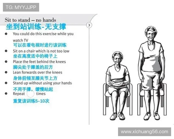 提升力量与耐力，塑造完美体型的全方位健身指南与训练计划