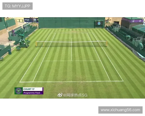 网球运动的历史发展与技术演变：从草地到硬地场的全景探秘