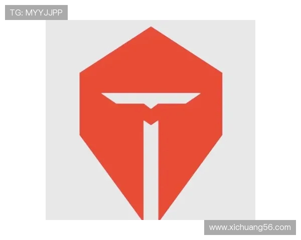 CSGO深度解析：TES战队的技术优势与战术创新探讨