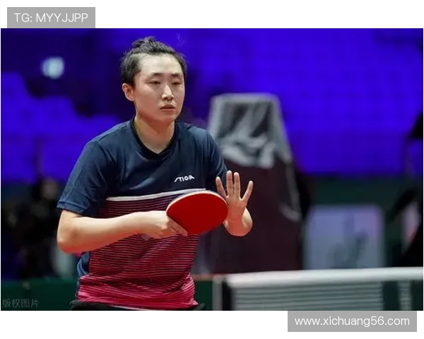 南京网球队防反策略分析及其在比赛中的成效与不足之处探讨