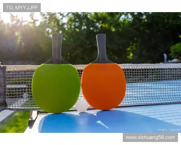 乒乓球技术与战术解析：从基础技巧到高水平对抗的全面指南