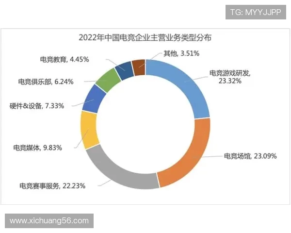 电子竞技发展现状与未来趋势分析：从全球赛事到职业玩家的成长路径