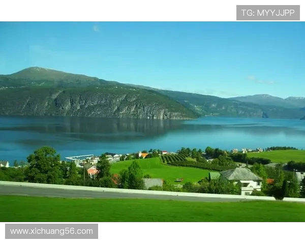 丹麦与瑞典友谊赛因不可抗力因素宣布取消引发广泛关注 丹麦与瑞典友谊赛因不可抗力因素宣布取消引发广泛关注