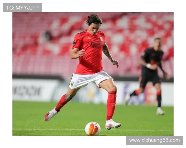 努涅斯在赛场上的精彩表现与未来发展潜力分析 努涅斯在赛场上的精彩表现与未来发展潜力分析